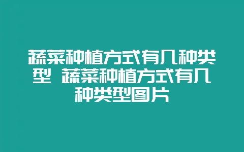 蔬菜种植方式有几种类型 蔬菜种植方式有几种类型图片-会东网
