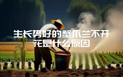生长势好的蟹爪兰不开花是什么原因-会东网