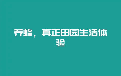 养蜂，真正田园生活体验-会东网