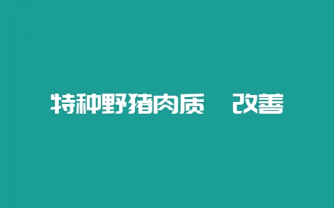 特种野猪肉质咋改善-会东网