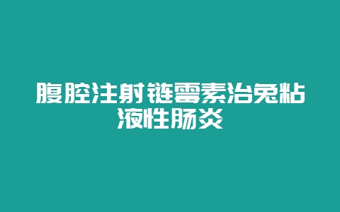 腹腔注射链霉素治兔粘液性肠炎-会东网