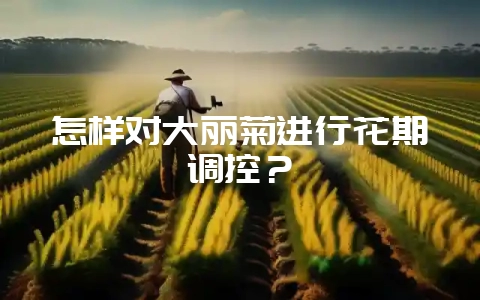 怎样对大丽菊进行花期调控？-会东网