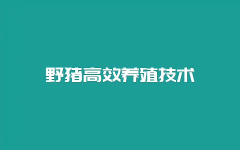 野猪高效养殖技术-会东网