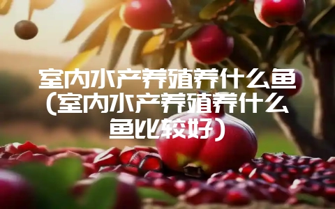 室内水产养殖养什么鱼(室内水产养殖养什么鱼比较好)-会东网