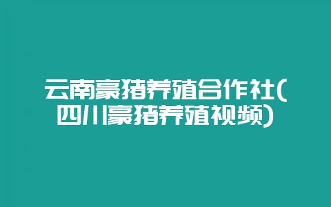 云南豪猪养殖合作社(四川豪猪养殖视频)-会东网
