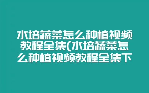 水培蔬菜怎么种植视频教程全集(水培蔬菜怎么种植视频教程全集下载)-会东网