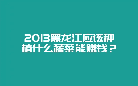 2013黑龙江应该种植什么蔬菜能赚钱?-会东网
