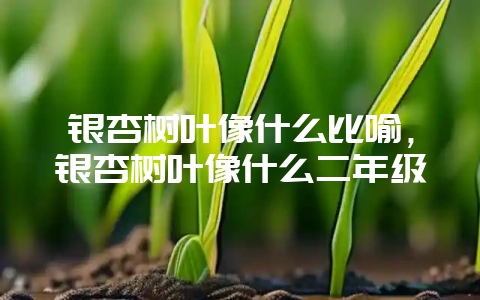 银杏树叶像什么比喻，银杏树叶像什么二年级-会东网