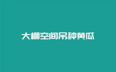 大棚空间吊种黄瓜-会东网