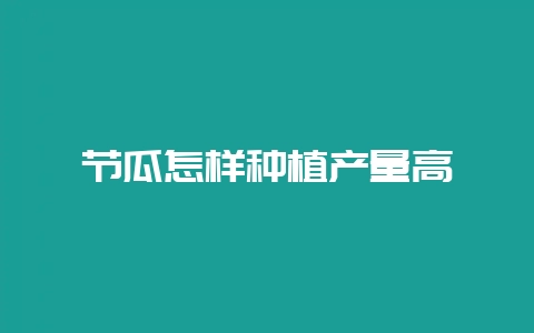 节瓜怎样种植产量高-会东网