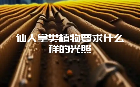 仙人掌类植物要求什么样的光照-会东网
