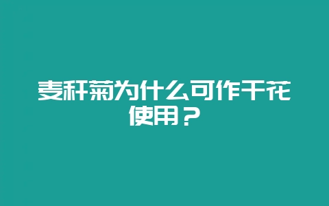 麦秆菊为什么可作干花使用?-会东网