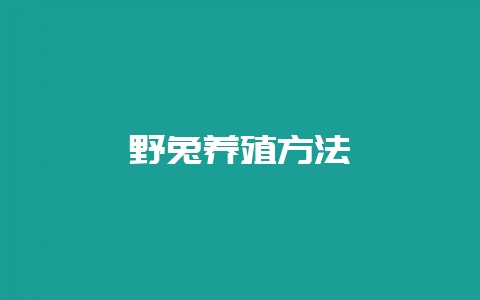 野兔养殖方法-会东网