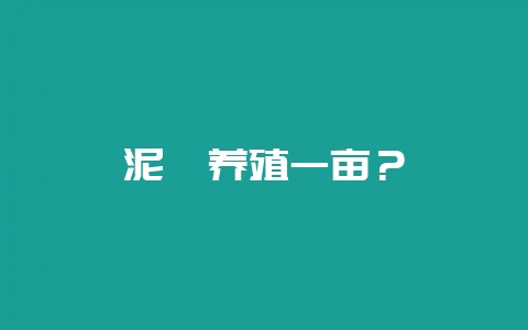 泥鳅养殖一亩？-会东网