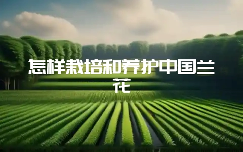 怎样栽培和养护中国兰花-会东网