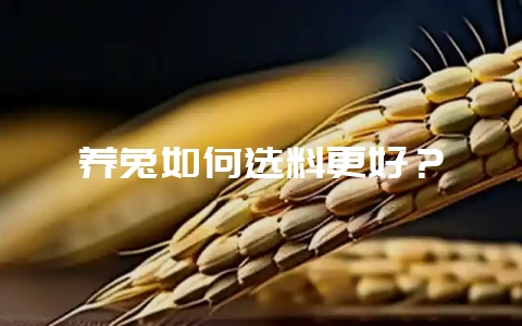 养兔如何选料更好？-会东网