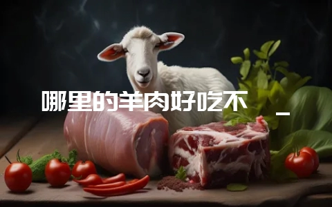 哪里的羊肉好吃不膻_-会东网