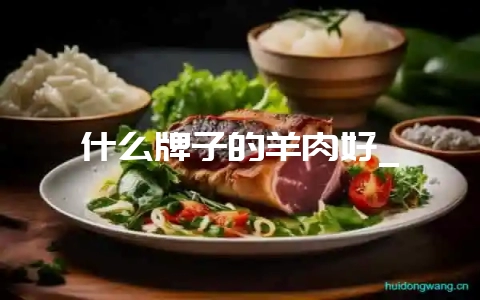 什么牌子的羊肉好_-会东网
