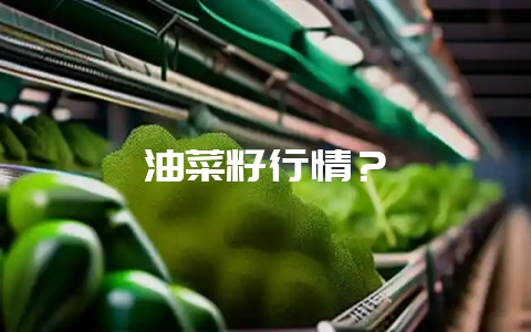 油菜籽行情?-会东网