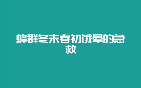 蜂群冬末春初饿晕的急救-会东网