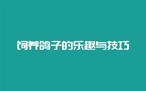 饲养鸽子的乐趣与技巧-会东网