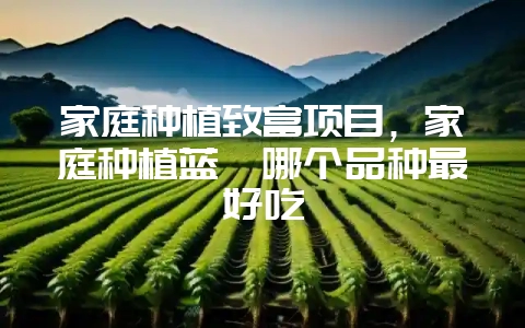 家庭种植致富项目，家庭种植蓝莓哪个品种最好吃-会东网