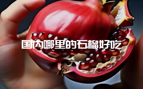 国内哪里的石榴好吃-会东网