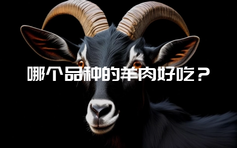 哪个品种的羊肉好吃？-会东网