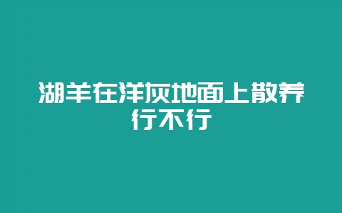 湖羊在洋灰地面上散养行不行-会东网