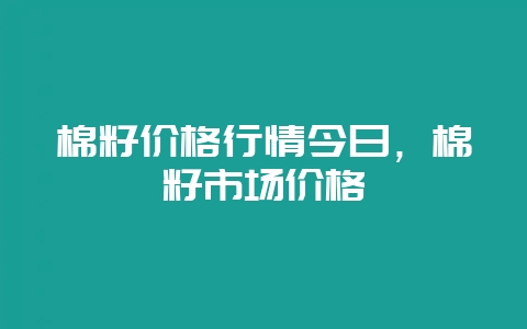 棉籽价格行情今日，棉籽市场价格-会东网