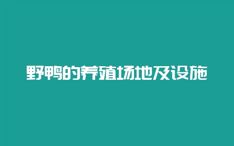 野鸭的养殖场地及设施-会东网