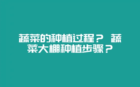 蔬菜的种植过程？ 蔬菜大棚种植步骤？-会东网