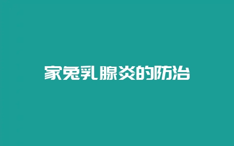 家兔乳腺炎的防治-会东网