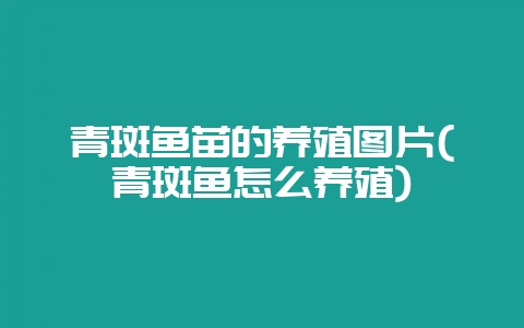 青斑鱼苗的养殖图片(青斑鱼怎么养殖)-会东网
