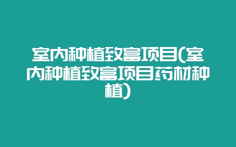 室内种植致富项目(室内种植致富项目药材种植)-会东网