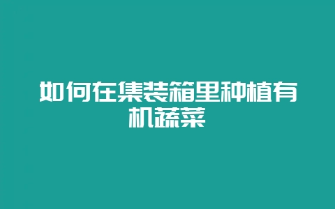 如何在集装箱里种植有机蔬菜-会东网
