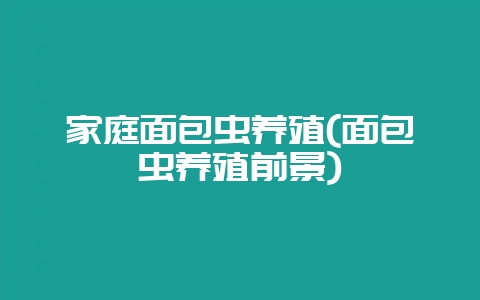 家庭面包虫养殖(面包虫养殖前景)-会东网