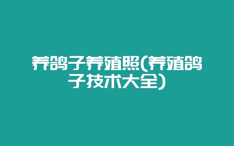 养鸽子养殖照(养殖鸽子技术大全)插图 养鸽子养殖照(养殖鸽子技术大全)插图