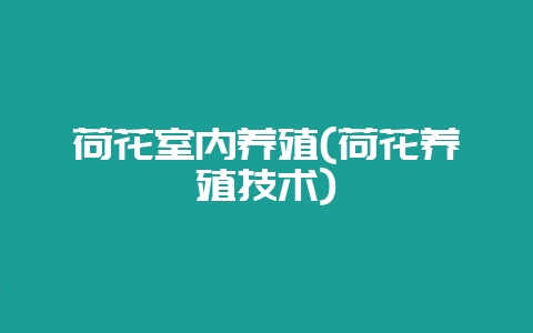荷花室内养殖(荷花养殖技术)-会东网