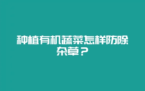种植有机蔬菜怎样防除杂草？-会东网