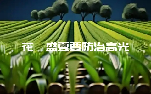 花卉盛夏要防治高光-会东网