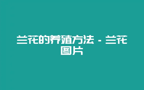 兰花的养殖方法－兰花图片-会东网