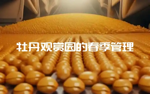 牡丹观赏园的春季管理-会东网