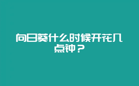 向日葵什么时候开花几点钟?-会东网