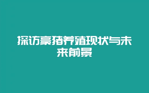 探访豪猪养殖现状与未来前景-会东网