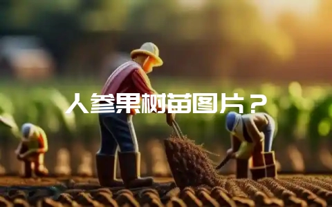 人参果树苗图片？-会东网