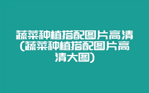 蔬菜种植搭配图片高清(蔬菜种植搭配图片高清大图)-会东网