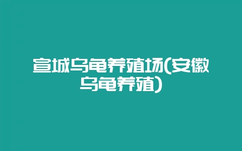 宣城乌龟养殖场(安徽乌龟养殖)-会东网