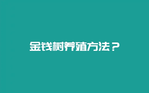 金钱树养殖方法？-会东网