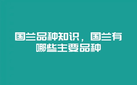 国兰品种知识，国兰有哪些主要品种-会东网